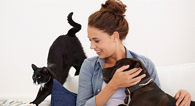 cat-dog-woman-blog