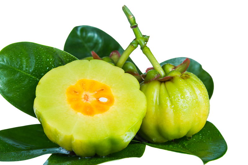 garcinia-cambogia